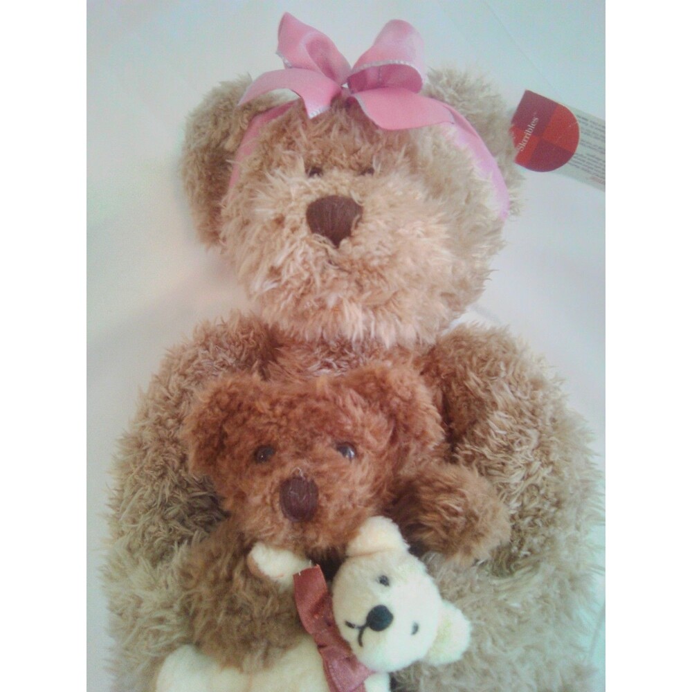 Russ Marmie teddy bear with baby bear plush set tags still on!